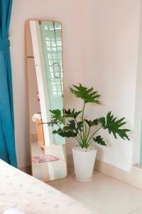 December Homestay Đà Lạt