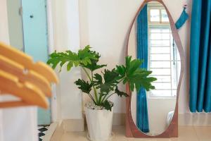 December Homestay Đà Lạt