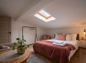 Mezzanine 25 - Spacious home in Old Town