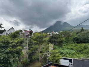 The Casia Villa