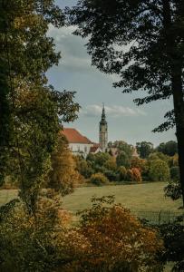 Wietorówka