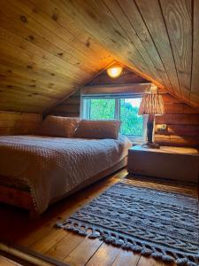 Cozy house with sauna and a fireplace