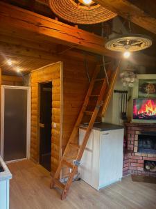Cozy house with sauna and a fireplace
