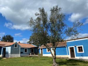 Suite no campo