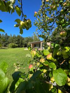 Lautri Holiday Home in Hausma