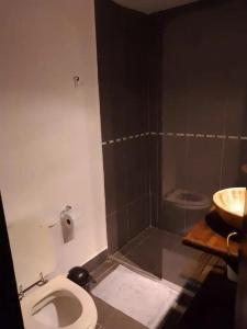 Oferta noclegów 17215493