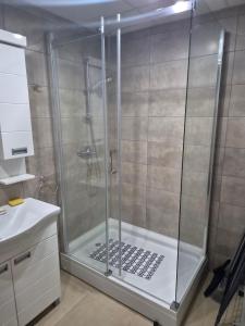 Apartmani Gogi