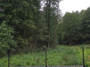 Natura Glamp Supraśl