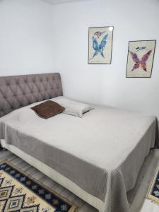 Saroz Akila Konaklama