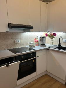 WATERFRONT Apartament 2 pokojowy nad Odrą FREE PRIVATE PARKING