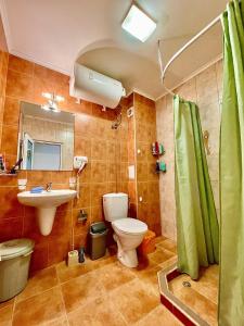 Oferta noclegów 17216033
