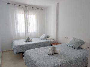 Casa Calypso: Two bedroom Beach Apt with pool