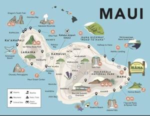 Nice Napili Nest