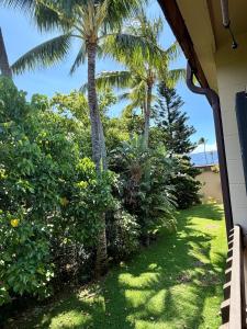 Nice Napili Nest