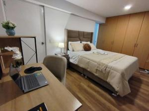 Oferta noclegów 17216253
