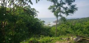 El Cielo Surf Cabins