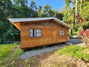 Casa Nawi,the Jungle Meets the Caribbean