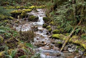 Hemlock Cottage| King bed |N. Cascades Natl. Park