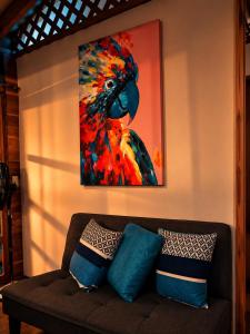 Casa Nawi,the Jungle Meets the Caribbean