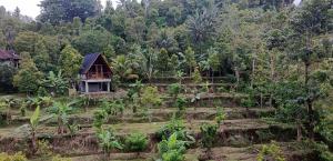 Tegalan Villa