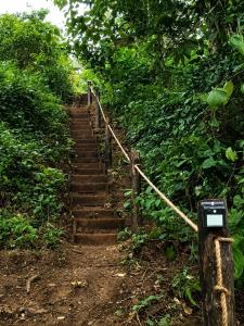 Jungle treehouse and hot tub experience