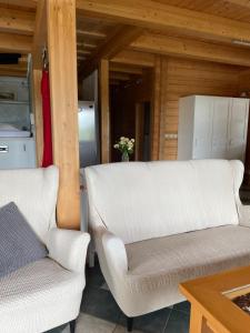 Apartmán ve srubu u jezera