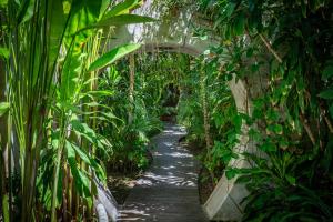 Villa Shakti, 3BR with pool & yoga shala in Bingin