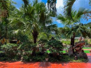 Tam Coc Central Backpacker Hostel