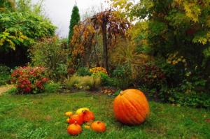 Maisons de vacances Maison Au Jardin : photos des chambres