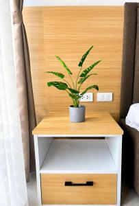 Inspiria Gold Studio Next to Abreeza Mall