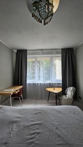 Deluxe Central Apartment