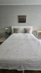 Deluxe Central Apartment