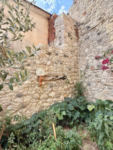 Hatchas Stone House