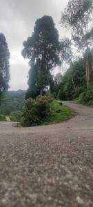 Cloud View Retreat