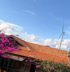Mây inn Cầu Đất - Homestay