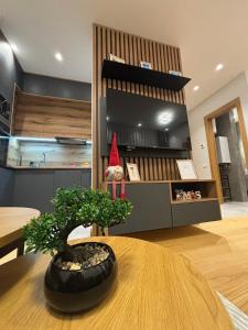 Apartmani Selić Zlatibor