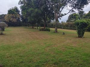 Tigoni staycation