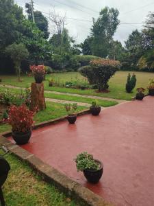 Tigoni staycation