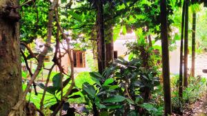Thepu Villa