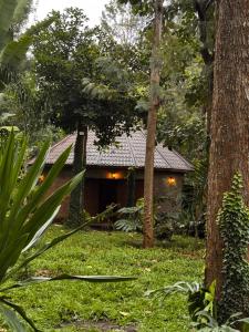 Arusha river sound