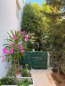 Luxueux Appartement 70m2-Rez de chaussée- pied dans leau-10 m de la Piscine collective- centre ville dHammamet,dans la partie residentielle de lhôtel Dar Hayet-1 suite Parentale-1 chambre avec 1 grand lit double-Grande terrasse