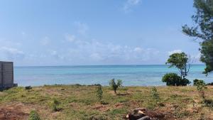 The coconut house