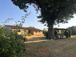 Casa Stalletta, Hot Tub, Bolgheri