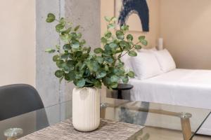 Roca Collection MSuites