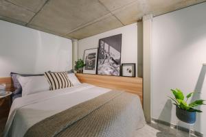 Liv in Vilnius City