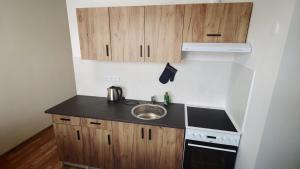 Apartmán pro 4 osoby, Litvínov L3