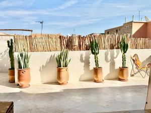 Dar dadou Private Rooftop