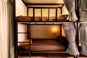 Born Free Hostel