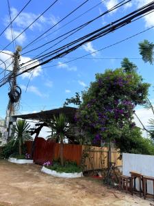 Sunny haven homestay