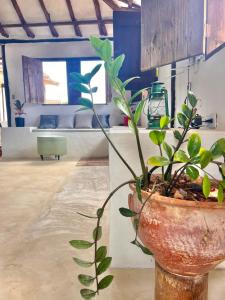 Charming detached house in Playa el Agua